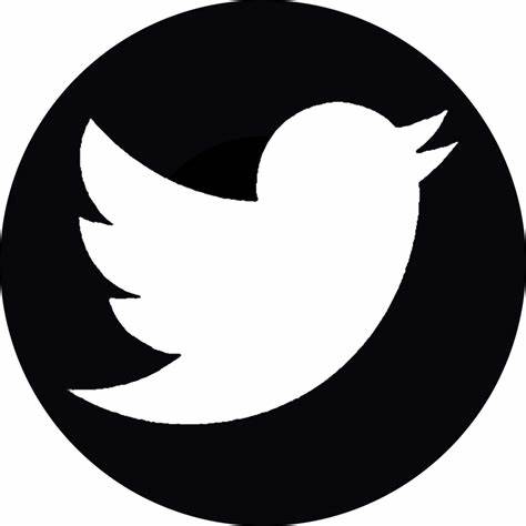 My Twitter Profile